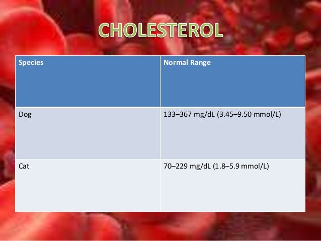 blood 9 test gender week (Dogs Blood and chemistry Cats)