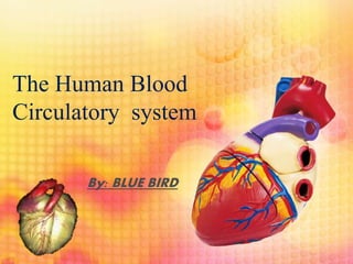 The Human Blood
Circulatory system
By: BLUE BIRD
 