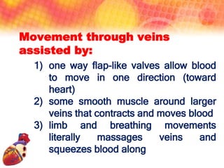 Blood circulatory system | PPTX