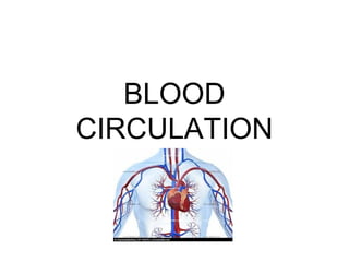 BLOOD
CIRCULATION
 