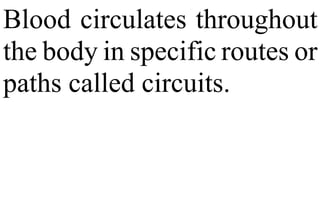 Blood circulates throughout
the body in specific routes or
paths called circuits.
 