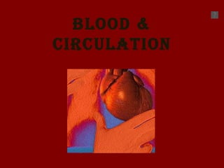 Blood & circulation 