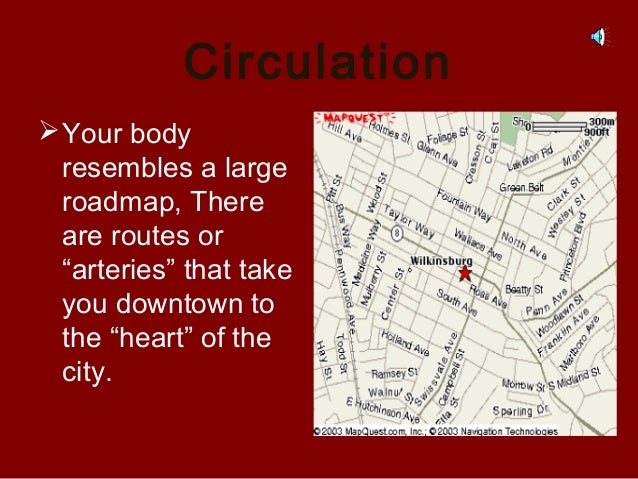 Blood & circulation