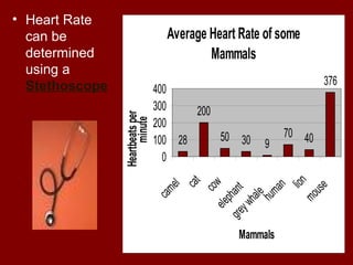 • Heart Rate
can be
determined
using a
Stethoscope
Average Heart Rate of some
Mammals
28
200
50 30 9
70 40
376
0
100
200
300
400
camel
cat
cowelephantgreywhale
human
lion
mouse
Mammals
Heartbeatsper
minute
 