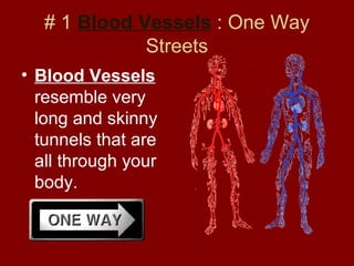 # 1 Blood Vessels : One Way
Streets
• Blood Vessels
resemble very
long and skinny
tunnels that are
all through your
body.
 
