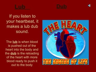 Lub
If you listen to
your heartbeat, it
makes a lub dub
sound.
The lub is when blood
is pushed out of the
heart into the body and
the dub is the reloading
of the heart with more
blood ready to push it
out to the body
Dub
 