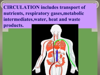 CIRCULATION includes transport of
nutrients, respiratory gases,metabolic
intermediates,water, heat and waste
products.
 