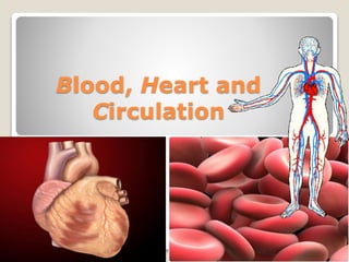Blood, Heart and
Circulation
 