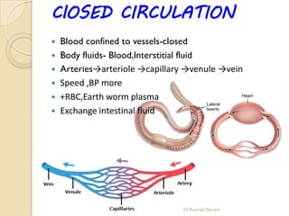 HEART TYPES,STRUCTURE AND FUNCTION (CARDIAC CYCLE) | PDF