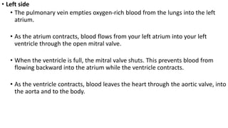 • Left side
• The pulmonary vein empties oxygen-rich blood from the lungs into the left
atrium.
• As the atrium contracts, blood flows from your left atrium into your left
ventricle through the open mitral valve.
• When the ventricle is full, the mitral valve shuts. This prevents blood from
flowing backward into the atrium while the ventricle contracts.
• As the ventricle contracts, blood leaves the heart through the aortic valve, into
the aorta and to the body.
 