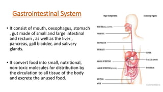 Gastrointestinal System
• It consist of mouth, oesophagus, stomach
, gut made of small and large intestinal
and rectum , as well as the liver ,
pancreas, gall bladder, and salivary
glands.
• It convert food into small, nutritional,
non-toxic molecules for distribution by
the circulation to all tissue of the body
and excrete the unused food.
 