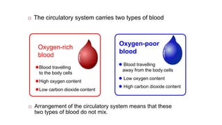  The circulatory system carries two types of blood
 Arrangement of the circulatory system means that these
two types of blood do not mix.
Oxygen-rich
blood
Oxygen-poor
blood
Blood travelling
to the body cells
High oxygen content
Low carbon dioxide content
 Blood travelling
away from the body cells
 Low oxygen content
 High carbon dioxide content
 