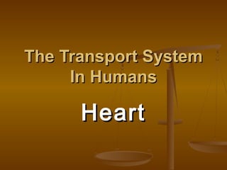 The Transport System
     In Humans

      Heart
 