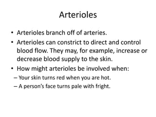 Arterioles
• Arterioles branch off of arteries.
• Arterioles can constrict to direct and control
blood flow. They may, for example, increase or
decrease blood supply to the skin.
• How might arterioles be involved when:
– Your skin turns red when you are hot.
– A person’s face turns pale with fright.
 