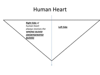 Human Heart
Right Side of
human heart
always receives the
WRONG BLOOD
(DEOXYGENATED
BLOOD)
Left Side
 