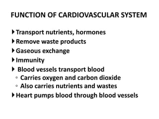 FUNCTION OF CARDIOVASCULAR SYSTEM
Transport nutrients, hormones
Remove waste products
Gaseous exchange
Immunity
 Blood vessels transport blood
◦ Carries oxygen and carbon dioxide
◦ Also carries nutrients and wastes
Heart pumps blood through blood vessels
 