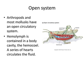 Open system
• Arthropods and
most mollusks have
an open circulatory
system.
• Hemolymph is
contained in a body
cavity, the hemocoel.
A series of hearts
circulates the fluid.
 