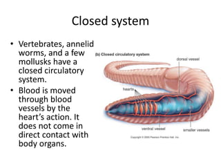 Closed system
• Vertebrates, annelid
worms, and a few
mollusks have a
closed circulatory
system.
• Blood is moved
through blood
vessels by the
heart’s action. It
does not come in
direct contact with
body organs.
 