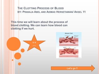 THE CLOTTING PROCESS OF BLOOD
     BY: PRANAJA ABEL AND ADIMAS HERSETIAWAN/ AKSEL 11



This time we will learn about the process of
blood clotting. We can learn how blood can
clotting if we hurt.




                ¤¤
                ----




                                           Let’s go !!
 