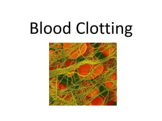 Blood Clotting

 