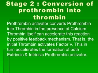 Stage 2 : Conversion of
prothrombin into
thrombin
Prothrombin activator converts Prothrombin
into Thrombin in the presence of Calcium.
Thrombin itself can accelerate this reaction
by positive feedback mechanism. That is, the
initial Thrombin activates Factor V. This in
turn accelerates the formation of both
Extrinsic & Intrinsic Prothrombin activator.
 