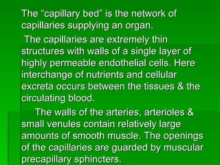 <ul><li>The “capillary bed” is the network of capillaries supplying an organ. </li></ul><ul><li>The capillaries are extrem...