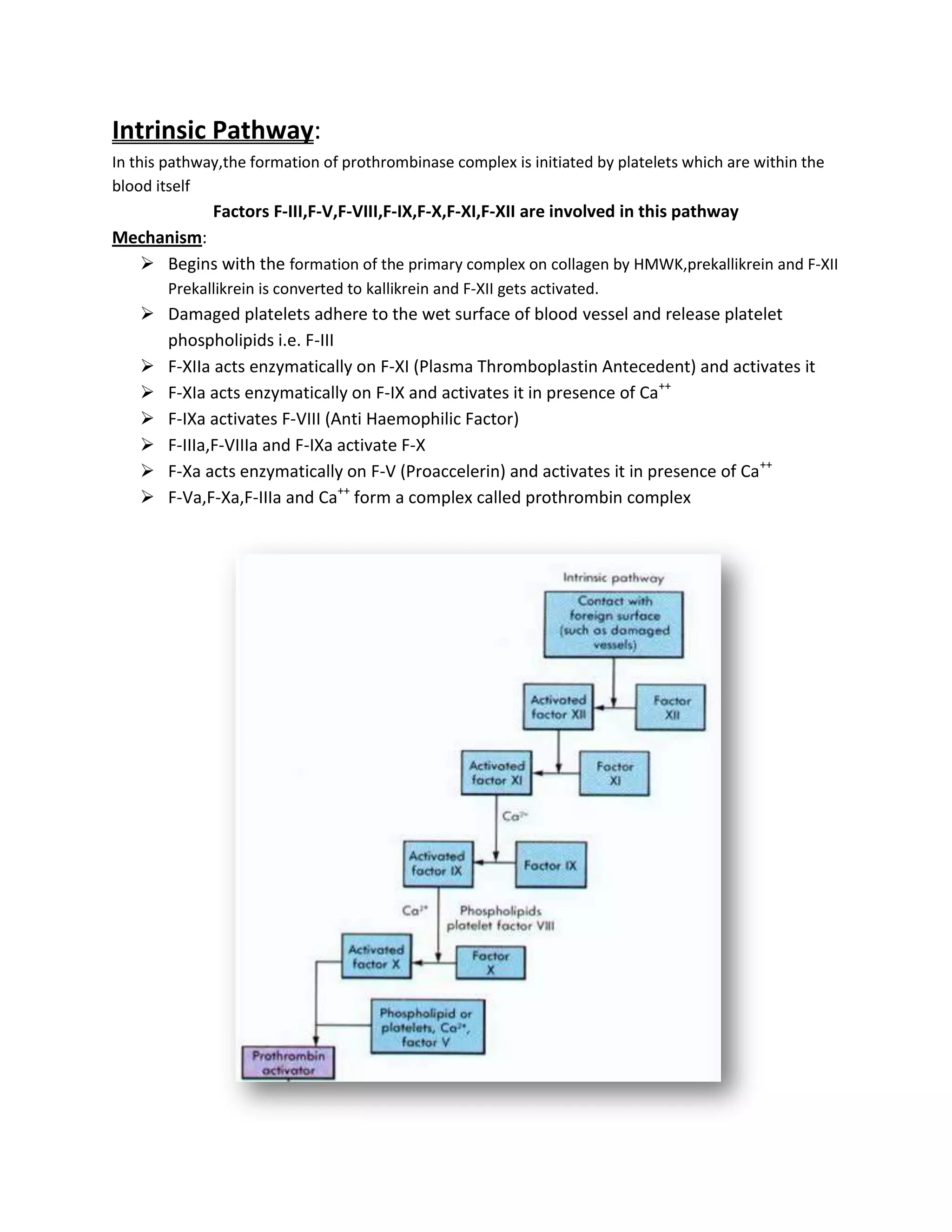 Intrinsic Pathway:
In this pathway,the formation of prothrombinase complex is initiated by platelets which are within the
blood itself
              Factors F-III,F-V,F-VIII,F-IX,F-X,F-XI,F-XII are involved in this pathway
Mechanism:
   Begins with the formation of the primary complex on collagen by HMWK,prekallikrein and F-XII
        Prekallikrein is converted to kallikrein and F-XII gets activated.
     Damaged platelets adhere to the wet surface of blood vessel and release platelet
      phospholipids i.e. F-III
     F-XIIa acts enzymatically on F-XI (Plasma Thromboplastin Antecedent) and activates it
     F-XIa acts enzymatically on F-IX and activates it in presence of Ca++
     F-IXa activates F-VIII (Anti Haemophilic Factor)
     F-IIIa,F-VIIIa and F-IXa activate F-X
     F-Xa acts enzymatically on F-V (Proaccelerin) and activates it in presence of Ca++
     F-Va,F-Xa,F-IIIa and Ca++ form a complex called prothrombin complex
 