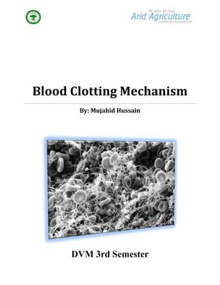 Blood Clotting Mechanism
       By: Mujahid Hussain




      DVM 3rd Semester
 