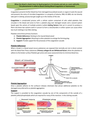 When the blood is shed,it loses its liquid property in 3-6 minutes and sets as a semi solid jelly.
          This phenomenon is called as Blood Clotting (Blood Coagulation or Haemostasis)


Coagulation prevents further blood loss from damaged tissue,blood vessels or organs.It seals the wound
and prevents the entry of microbes.Coagulation is a property of plasma; RBCs & WBCs do not directly
take part in clotting process but get caught up in the meshes of the clot.

Coagulation is complicated process with a cellular system comprised of cells called platelets that
circulate in the blood and serve to form a platelet plug over damaged vessels and a second system
based upon the actions of multiple proteins (called clotting factors) that act in concert to produce a
fibrin clot.these two systems work in concert to form a clot;Disorders in either system can cause either
too much clotting or too little clotting.

Platelets serve three primary functions:
    1) Platelet Adherence: Sticking to the injured blood vessel
    2) Platelet Aggregation: Attaching to other platelets to enlarge the forming plug
    3) Support: Provide support for the processes of the coagulation cascade


Platelet Adherence:
When a break in a blood vessel occurs,substances are exposed that normally are not in direct contact
with the blood flow.These substances (Primary collagen & von Willebrand factor) allow the platelets to
adhere to the broken surface.Platelets get active and cause vasoconstriction to minimize blood loss.




Platelet Aggregation:
Once a platelet adheres to the surface,it releases chemicals that attract additional platelets to the
damaged area,referred to as platelet aggregation.
Support:
The support is provided to the coagulation cascade by one of the components of the outside of a
platelet,called phospholipids which are required for many of the reactions in the clotting cascade.
 