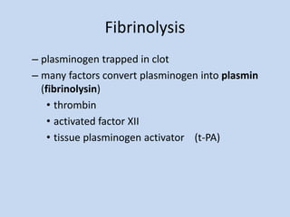 Fibrinolysis
– plasminogen trapped in clot
– many factors convert plasminogen into plasmin
(fibrinolysin)
• thrombin
• activated factor XII
• tissue plasminogen activator (t-PA)
 