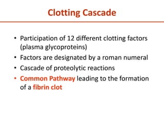 Clotting Cascade
• Participation of 12 different clotting factors
(plasma glycoproteins)
• Factors are designated by a roman numeral
• Cascade of proteolytic reactions
• Common Pathway leading to the formation
of a fibrin clot
 