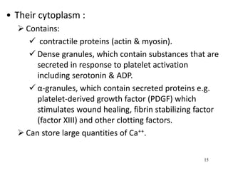 15
• Their cytoplasm :
 Contains:
 contractile proteins (actin & myosin).
 Dense granules, which contain substances that are
secreted in response to platelet activation
including serotonin & ADP.
 α-granules, which contain secreted proteins e.g.
platelet-derived growth factor (PDGF) which
stimulates wound healing, fibrin stabilizing factor
(factor XIII) and other clotting factors.
 Can store large quantities of Ca++.
 