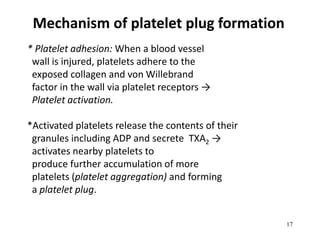 17
Mechanism of platelet plug formation
* Platelet adhesion: When a blood vessel
wall is injured, platelets adhere to the
exposed collagen and von Willebrand
factor in the wall via platelet receptors →
Platelet activation.
*Activated platelets release the contents of their
granules including ADP and secrete TXA2 →
activates nearby platelets to
produce further accumulation of more
platelets (platelet aggregation) and forming
a platelet plug.
 