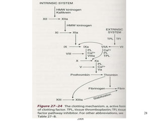 2nd Year Physiotherapy- November
2008
28
 