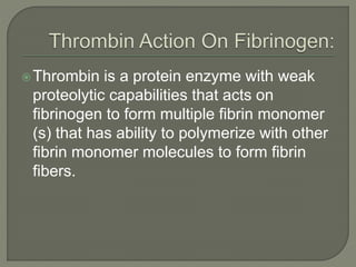Thrombin is a protein enzyme with weak
proteolytic capabilities that acts on
fibrinogen to form multiple fibrin monomer
(s) that has ability to polymerize with other
fibrin monomer molecules to form fibrin
fibers.
 