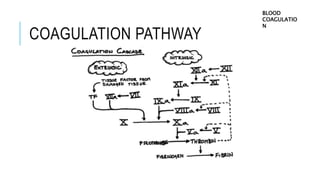COAGULATION PATHWAY
BLOOD
COAGULATIO
N
 