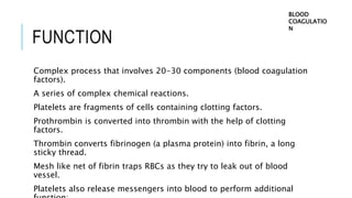 FUNCTION
Complex process that involves 20-30 components (blood coagulation
factors).
A series of complex chemical reactions.
Platelets are fragments of cells containing clotting factors.
Prothrombin is converted into thrombin with the help of clotting
factors.
Thrombin converts fibrinogen (a plasma protein) into fibrin, a long
sticky thread.
Mesh like net of fibrin traps RBCs as they try to leak out of blood
vessel.
Platelets also release messengers into blood to perform additional
BLOOD
COAGULATIO
N
 