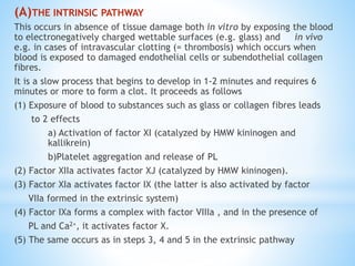 (A)THE INTRINSIC PATHWAY
This occurs in absence of tissue damage both in vitro by exposing the blood
to electronegatively charged wettable surfaces (e.g. glass) and in vivo
e.g. in cases of intravascular clotting (= thrombosis) which occurs when
blood is exposed to damaged endothelial cells or subendothelial collagen
fibres.
It is a slow process that begins to develop in 1-2 minutes and requires 6
minutes or more to form a clot. It proceeds as follows
(1) Exposure of blood to substances such as glass or collagen fibres leads
to 2 effects
a) Activation of factor XI (catalyzed by HMW kininogen and
kallikrein)
b)Platelet aggregation and release of PL
(2) Factor XIIa activates factor XJ (catalyzed by HMW kininogen).
(3) Factor XIa activates factor IX (the latter is also activated by factor
VIIa formed in the extrinsic system)
(4) Factor IXa forms a complex with factor VIIIa , and in the presence of
PL and Ca2+, it activates factor X.
(5) The same occurs as in steps 3, 4 and 5 in the extrinsic pathway
 
