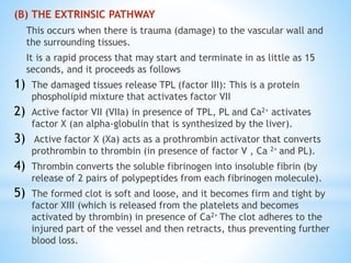 (B) THE EXTRINSIC PATHWAY
This occurs when there is trauma (damage) to the vascular wall and
the surrounding tissues.
It is a rapid process that may start and terminate in as little as 15
seconds, and it proceeds as follows
1) The damaged tissues release TPL (factor III): This is a protein
phospholipid mixture that activates factor VII
2) Active factor VII (VIIa) in presence of TPL, PL and Ca2+ activates
factor X (an alpha-globulin that is synthesized by the liver).
3) Active factor X (Xa) acts as a prothrombin activator that converts
prothrombin to thrombin (in presence of factor V , Ca 2+ and PL).
4) Thrombin converts the soluble fibrinogen into insoluble fibrin (by
release of 2 pairs of polypeptides from each fibrinogen molecule).
5) The formed clot is soft and loose, and it becomes firm and tight by
factor XIII (which is released from the platelets and becomes
activated by thrombin) in presence of Ca2+ The clot adheres to the
injured part of the vessel and then retracts, thus preventing further
blood loss.
 