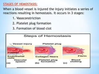 STAGES OF HEMOSTASIS:
When a blood vessel is injured the injury initiates a series of
reactions resulting in hemostasis. It occurs in 3 stages:
1. Vasoconstriction
2. Platelet plug formation
3. Formation of blood clot
 