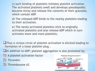 c) such binding of platelets initiates platelet activation.
The activated platelets swell and develops pseudopodia;
become sticky and release the contents of their granules;
which contain ADP.
d) The released ADP binds to the nearby platelets leading
to their activation.
e) The newly activated platelets stick to originally
activated platelets and also release ADP which in turn
activates more and more platelets.
Thus a vicious circle of platelet activation is elicited leading to
formation of a loose platelet plug .
In addition to ADP; platelet aggregation is also promoted by:
1) A platelet activation factor
2) Thrombin
3) Thromboxane A2
 
