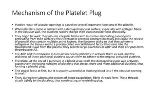 Blood Coagulation.pptx
