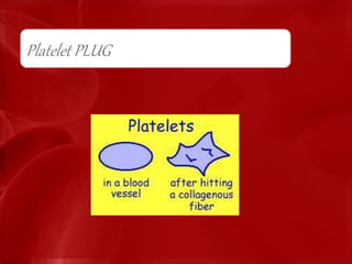 Platelet PLUG
 