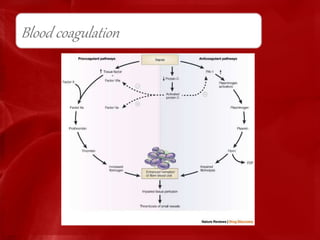 Blood coagulation
 
