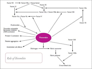 Role of thrombin
 
