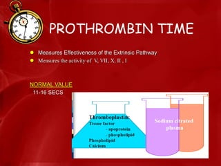 PROTHROMBIN TIME
 Measures Effectiveness of the Extrinsic Pathway
 Measures the activity of V, VII, X, II , I
NORMAL VALUE
11-16 SECS
 