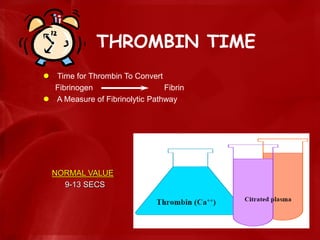 THROMBIN TIME
 Time for Thrombin To Convert
Fibrinogen Fibrin
 A Measure of Fibrinolytic Pathway
NORMAL VALUE
9-13 SECS
 