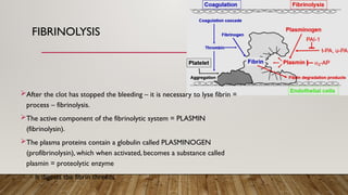 BLOOD COAGULATION in biochemistry lecture | PPTX