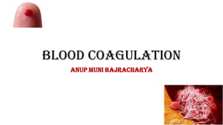 Blood coagulation
Anup Muni Bajracharya
 