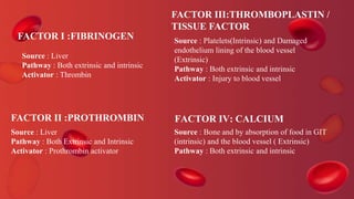 FACTOR I :FIBRINOGEN
Source : Liver
Pathway : Both extrinsic and intrinsic
Activator : Thrombin
FACTOR II :PROTHROMBIN
Source : Liver
Pathway : Both Extrinsic and Intrinsic
Activator : Prothrombin activator
FACTOR III:THROMBOPLASTIN /
TISSUE FACTOR
Source : Platelets(Intrinsic) and Damaged
endothelium lining of the blood vessel
(Extrinsic)
Pathway : Both extrinsic and intrinsic
Activator : Injury to blood vessel
FACTOR IV: CALCIUM
Source : Bone and by absorption of food in GIT
(intrinsic) and the blood vessel ( Extrinsic)
Pathway : Both extrinsic and intrinsic
 